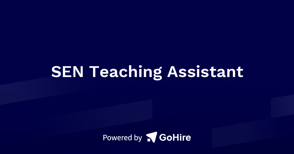 Long-term Teachers