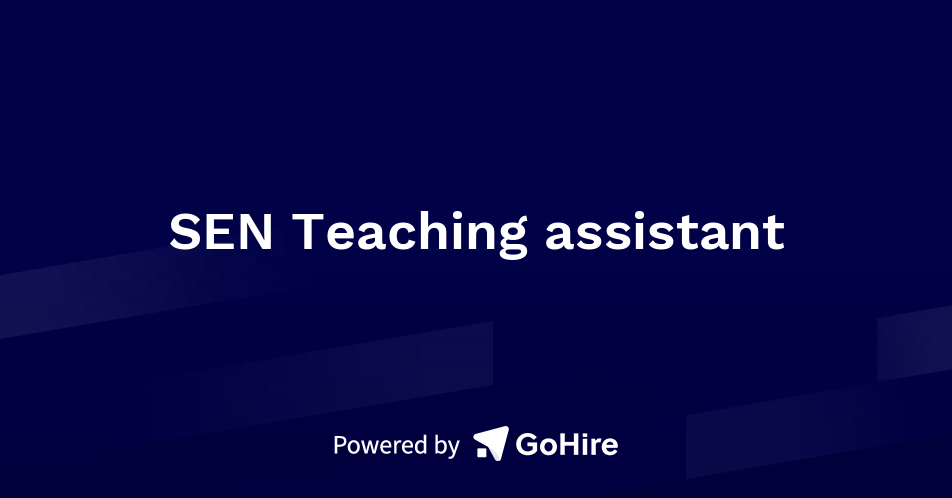 Long-term Teachers