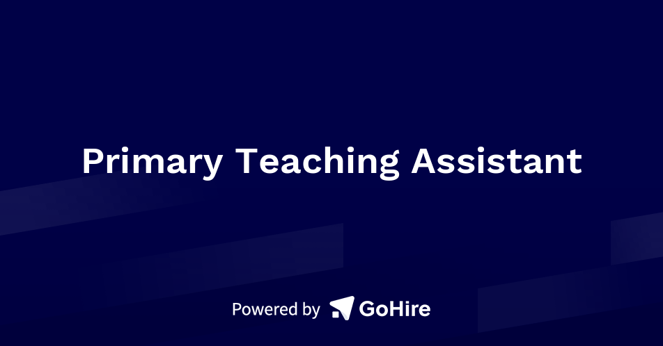 Long-term Teachers