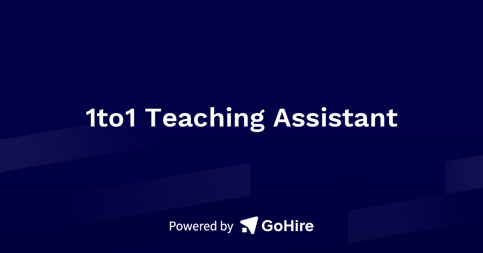 Long-term Teachers