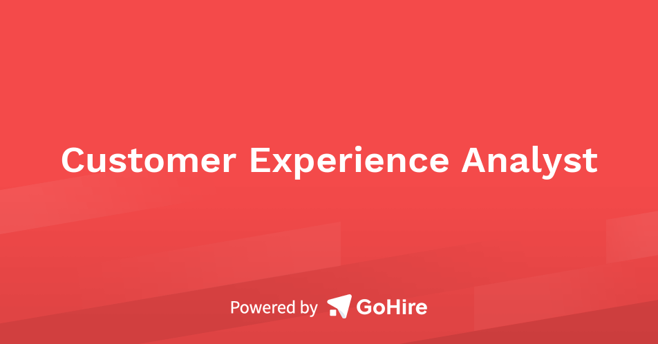 Customer Experience Analyst at The Pique Lab | Jobs at The Pique Lab