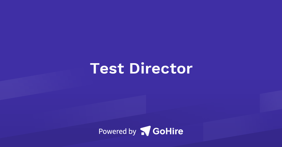 Test Director at N Consulting Ltd | Jobs at N Consulting Ltd